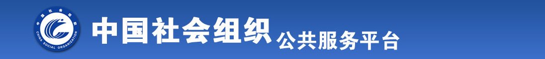 嫩插女全国社会组织信息查询